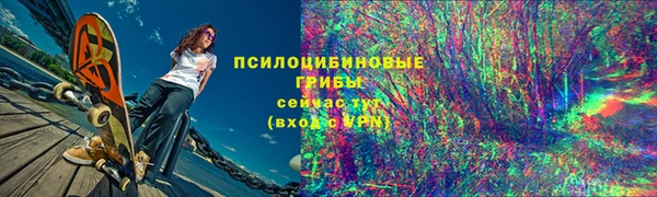 прущая мука Алзамай